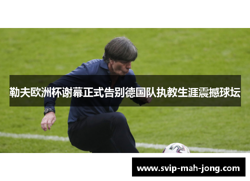 勒夫欧洲杯谢幕正式告别德国队执教生涯震撼球坛