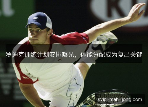罗迪克训练计划安排曝光,体能分配成为复出关键 罗迪克训练计划安排曝光,体能分配成为复出关键